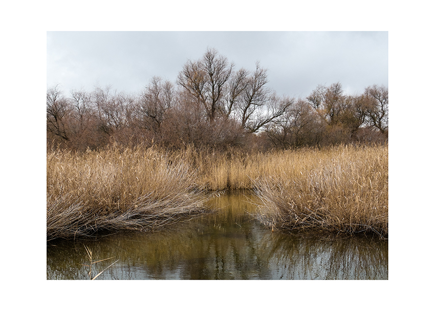 678 km. Mireia Alises