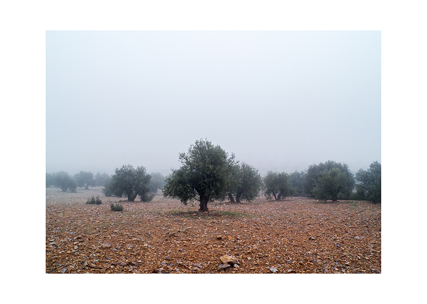 678 km. Mireia Alises