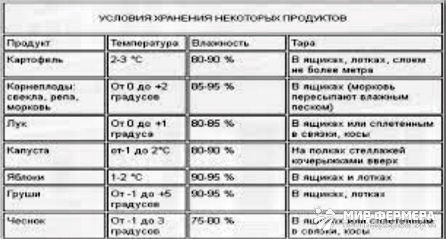 Погреб на даче своими руками (56 фото): материалы, этапы