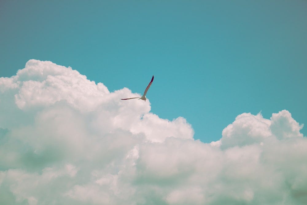 *free* shipping on qualifying offers. 5 Quotes From A Course In Miracles That Will Set You Free By Julia Blum Change Your Mind Change Your Life Medium
