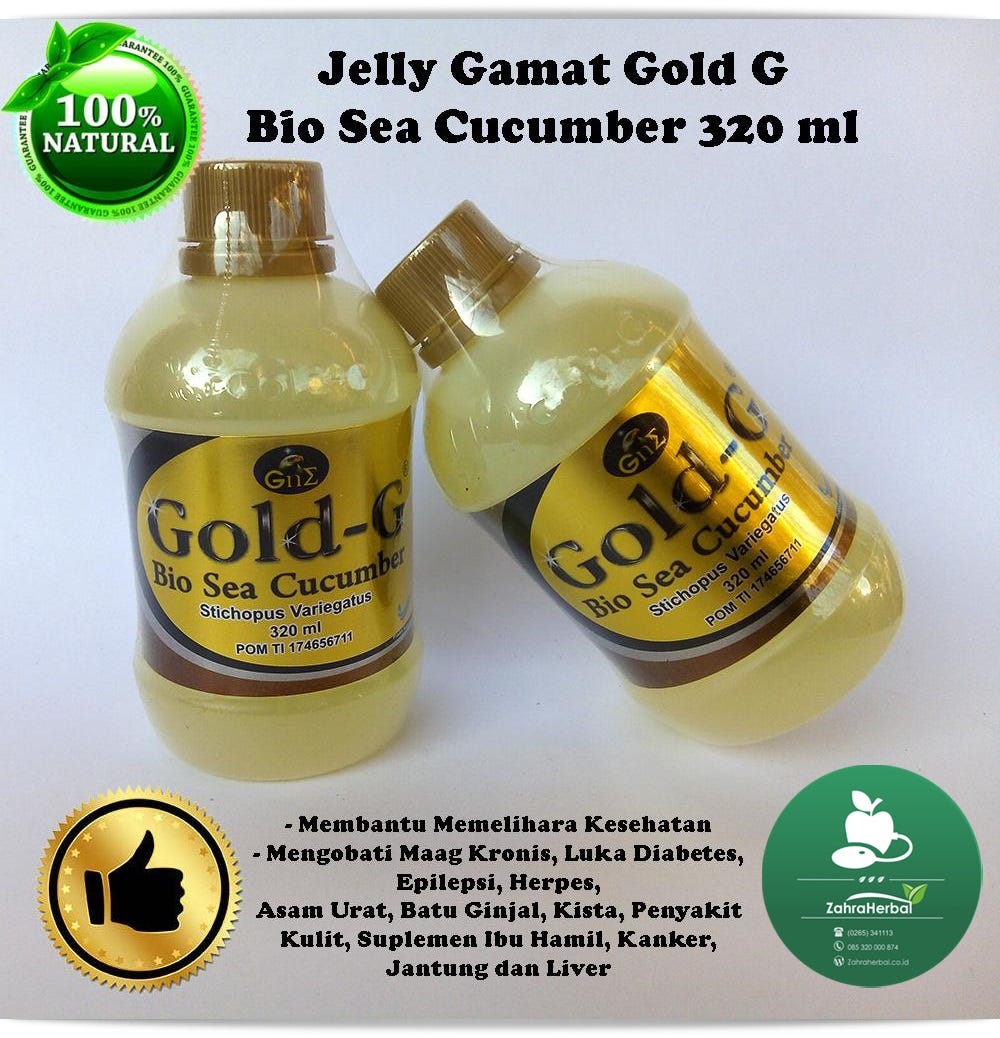 Manfaat Jelly Gamat Gold-G Bio Sea Cucumber Untuk Kesehatan | by Fox  Elbertson | Medium