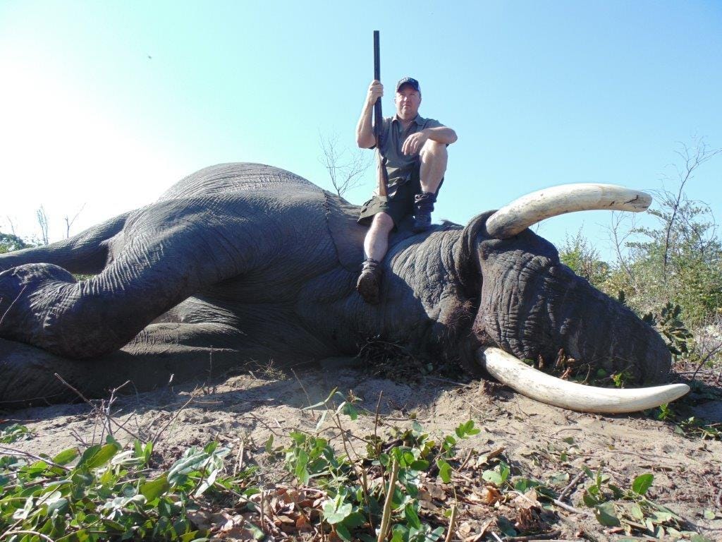 Why Should You Go On An African Hunting Safari Sean Scott