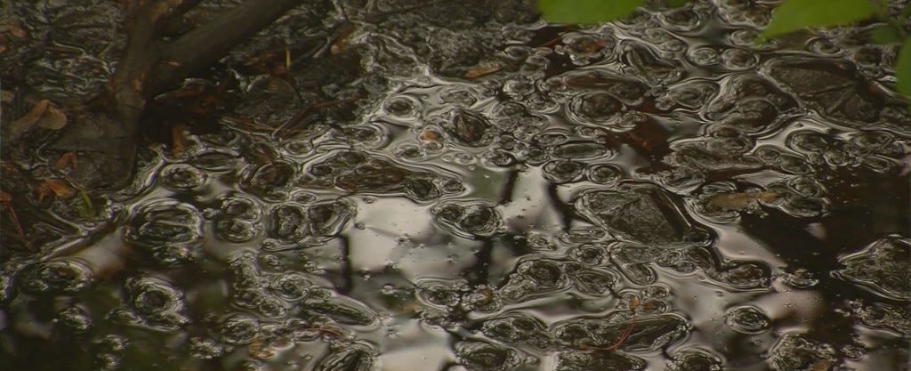 pics Primordial Ooze Meaning in praise of difference or make america primordial ooze again by steve wright conches