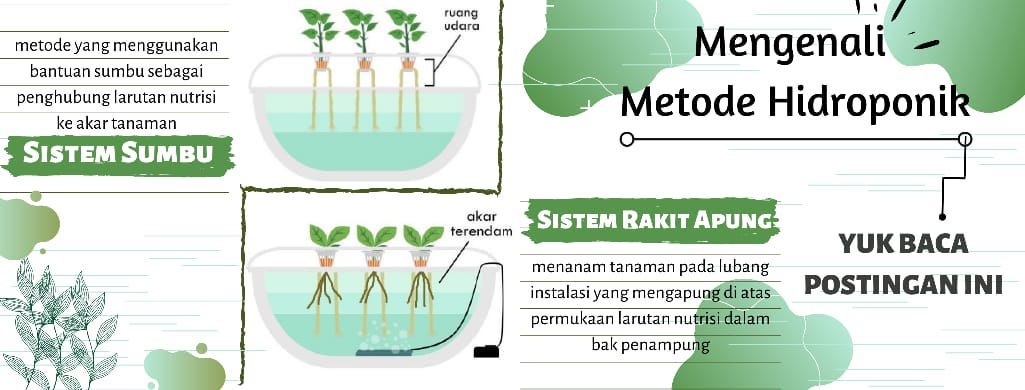 Metode Hidroponik. Rakit Apung dan Sistem Sumbu | by Hidroponik Sehat |  Medium