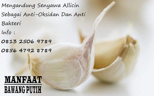 Cara Mengobati Ambeien Secara Alami Dengan Bawang Putih