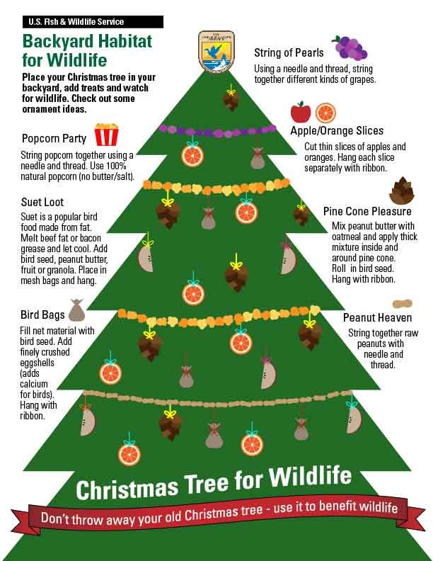 Sold by theprunedanish and ships from amazon fulfillment. Recycling Christmas Trees For Wildlife By U S Fish And Wildlife Service Updates From The U S Fish And Wildlife Service Medium