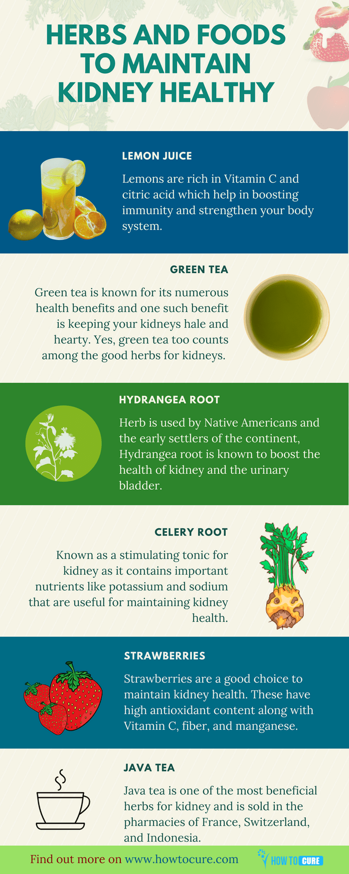 Superstar Herbs And Foods For Healthy Kidneys How To Cure