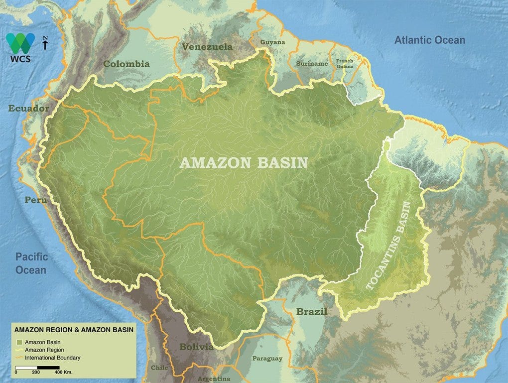 The amazon rainforest is the largest rainforest in the world, covering an area of 6,000,000 km 2 (2,316,612.95 square miles). An Analysis Of Amazonian Forest Fires By Matthew Stewart Phd Researcher Towards Data Science