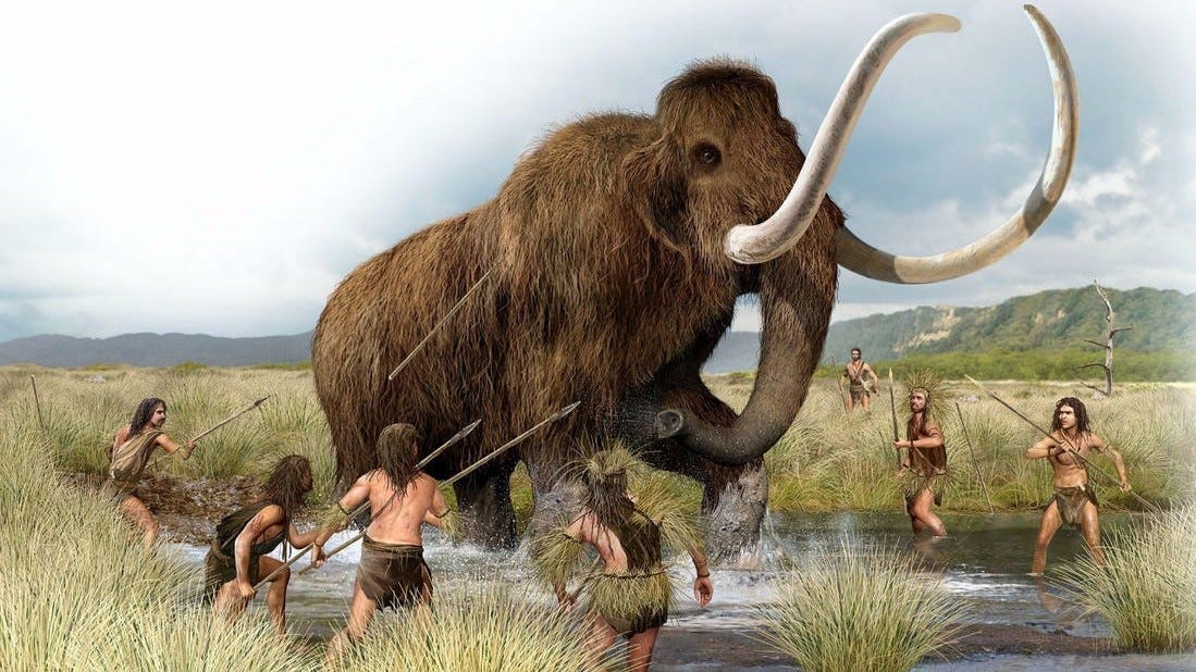 In the space of his lifetime, one single mammoth who trundled through the ancient arctic traveled so . How To Catch The Woolly Mammoth History Of Yesterday