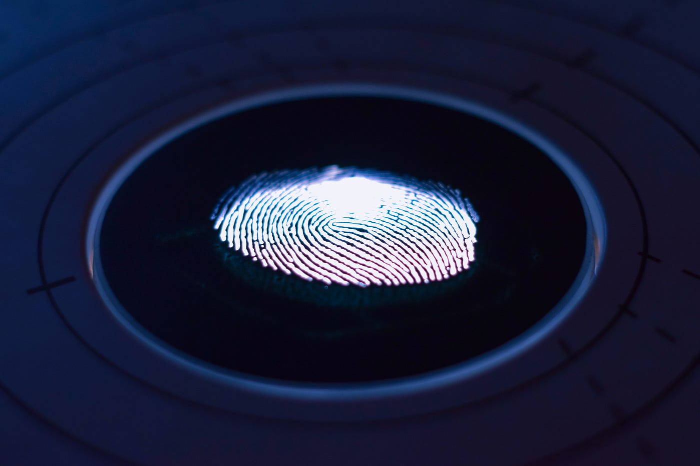 Students can choose to follow the science experiment as written or put their own spin … Detective Activity Capture Fingerprints And Dust For Clues By Farah Egby Everyday Science Medium
