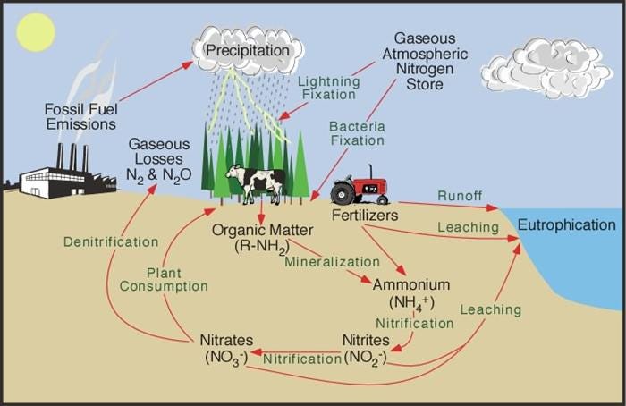 Dinamika nutrien S. Cikapundung. Ini sebuah cerita baru. Diambil dari… | by  Dasapta Erwin Irawan | eco-hydrology and engineering geology | Medium