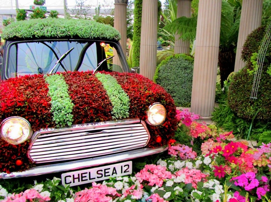 Diy experts discuss several flowering plant varieties and the planting information for each zone. Most Famous Flower Exhibitions You Ve Already Visited Various By Bloomexusa Medium