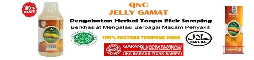 Cara Mengobati Penyakit Liver Alami Paling Cocok Dadi Herbal