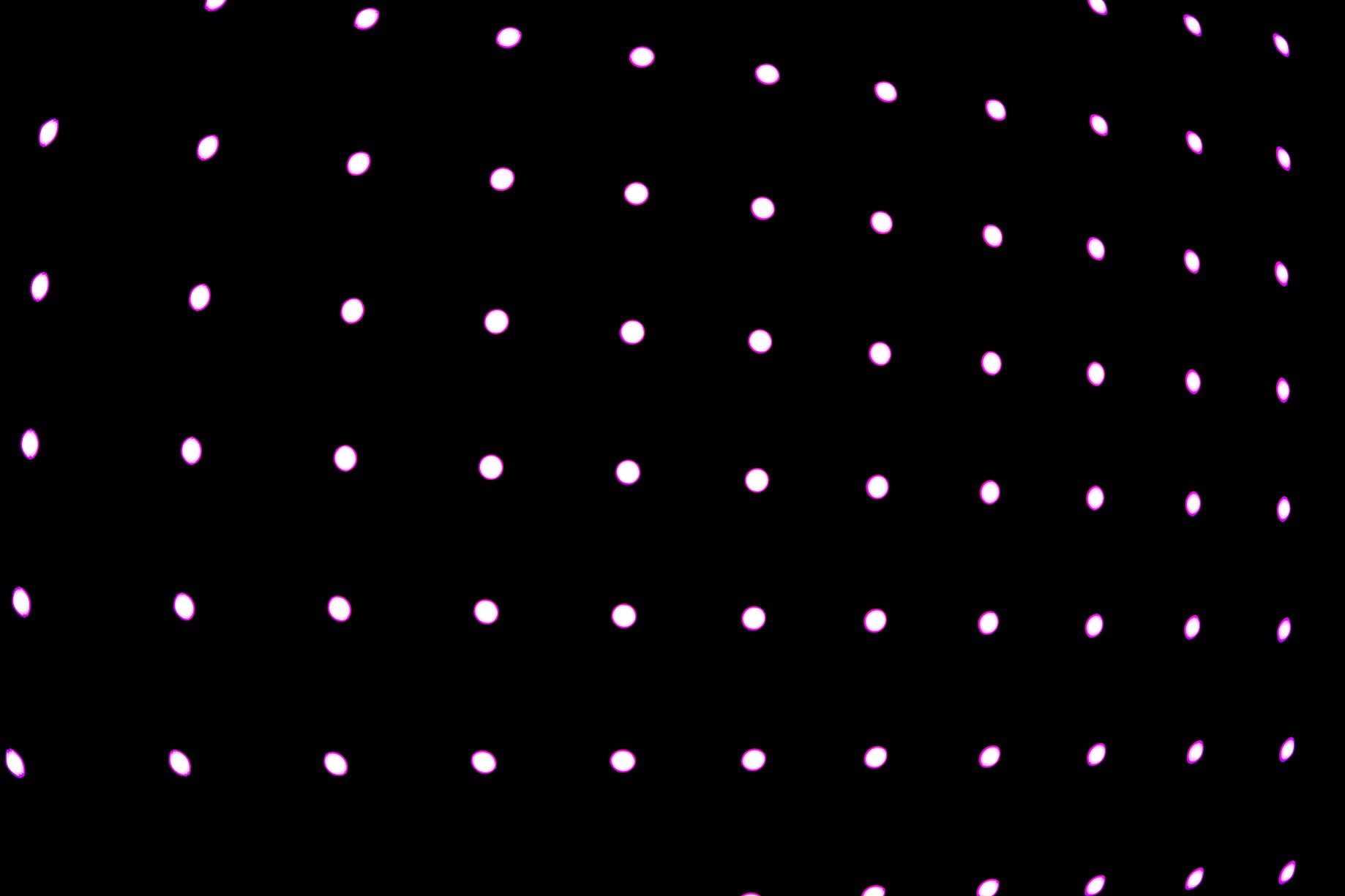 connecting the dots for polkadot what is dot and where to buy dot by bountybase medium on where can i buy polkadot coin reddit