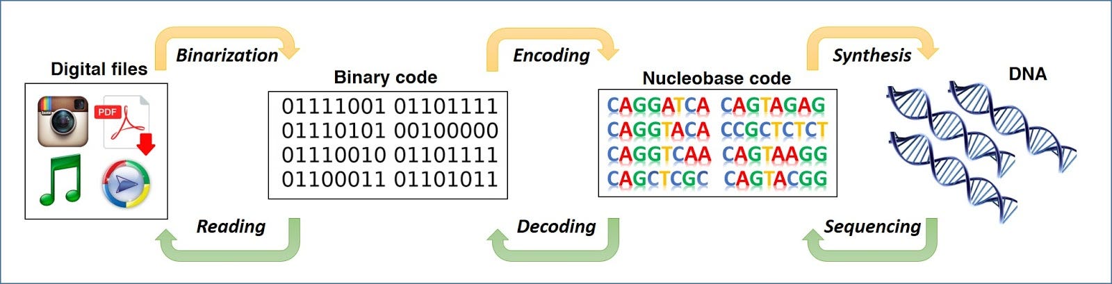FROM PUNCH CARD TO DNA DATA STORAGE | by JAY KISHAN PANJIYAR | The Zerone | Medium