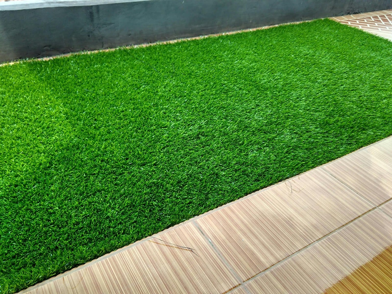 Rumput gajah mini · 2. Jenis Jenis Rumput Sintetis Yang Cocok Untuk Rumah Anda By Fahrizal Wa Medium