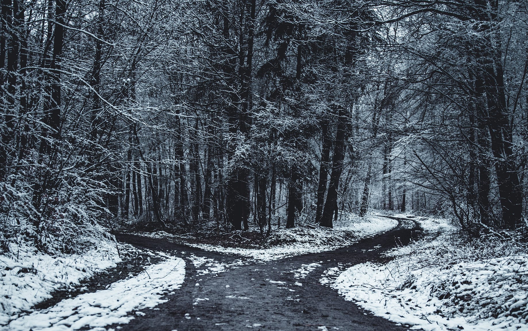 Memilih Diantara Dua Pilihan yang Sama-Sama Baik | by Faris Ariyanu | Medium