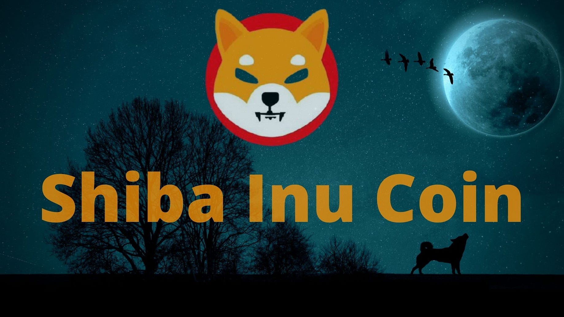 A change.org petition with over 300,000 signatures is asking robinhood to list the shib token, as it's known. Shiba Inu Owners Join The Dogecoin Parade As The Robinhood Petition Reaches 259 000 Signatures By Isac Oliveira Coinmonks Oct 2021 Medium