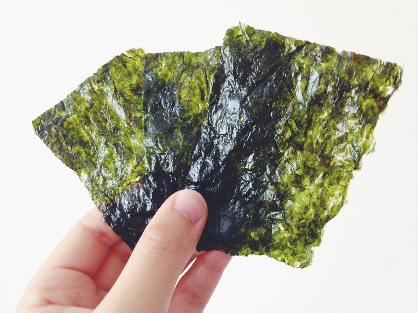 5 Jenis + 6 Manfaat Rumput Laut. Rumput laut, salah satu makanan yang… | by  A. Ica N. | Blog - Catering Online Jakarta | Kulina | Medium