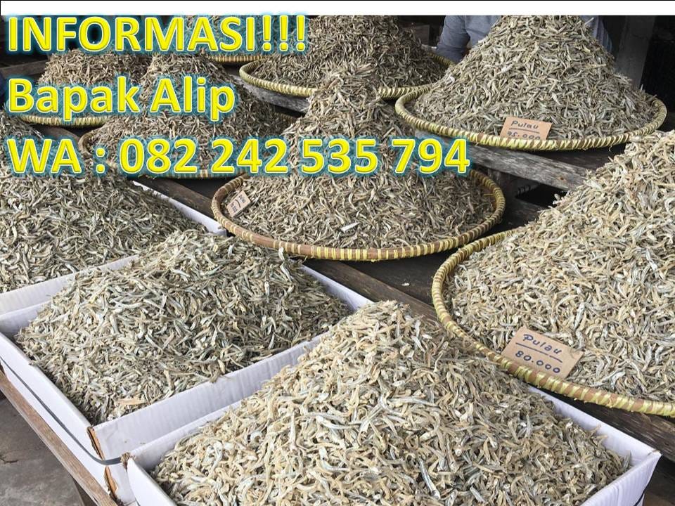 WA 082 242 535 794// Agen Ikan Teri Di Jakarta, Distributor Ikan Teri Di  Jakarta, Supplier Ikan Teri Di Jakarta, Jual Ikan Teri Di Jakarta | by  Telp/WA 082242535794,Jasa Furniture Semarang mebel | Medium