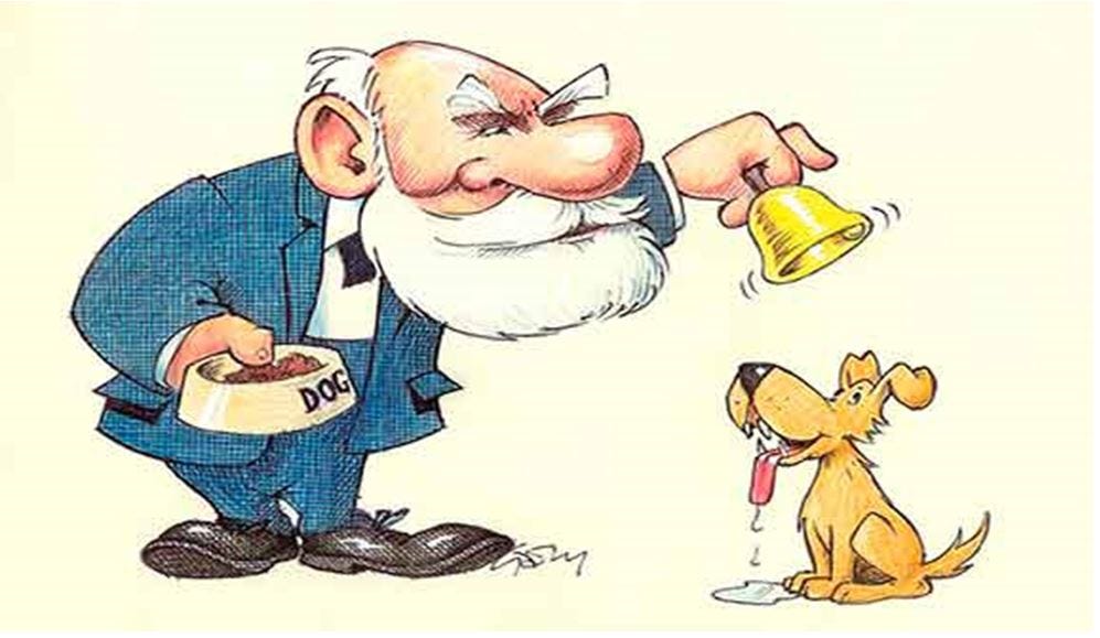 Pavlov Un Kopegi Ya Da Maymunlardan Ne Farkimiz Vardir Bizim Deneme Milliyet Blog