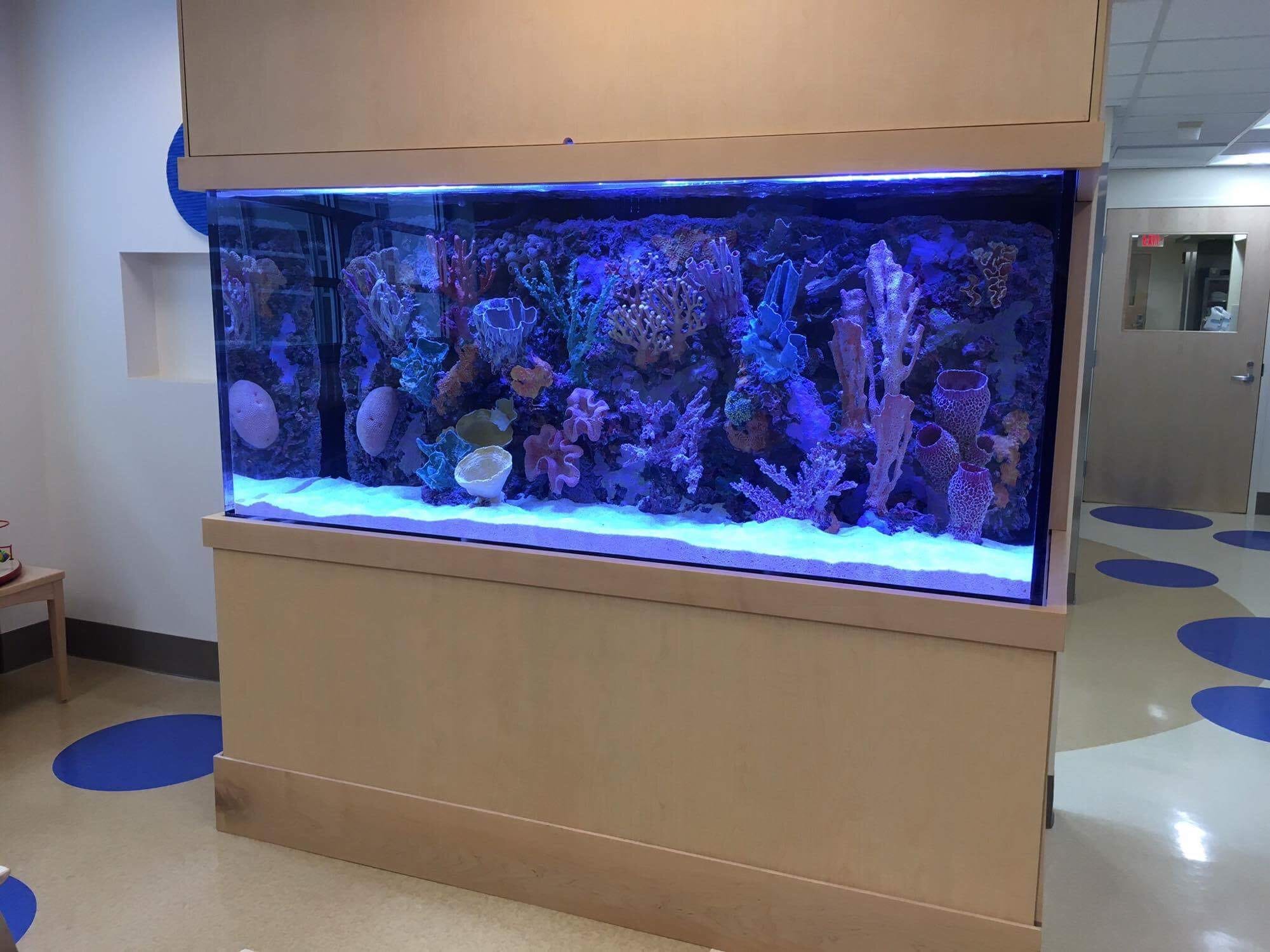 Custom Aquariums Acrylic Tank Manufacturing Midwest Custom Aquarium Servicing Cincinnati Dayton Columbus.