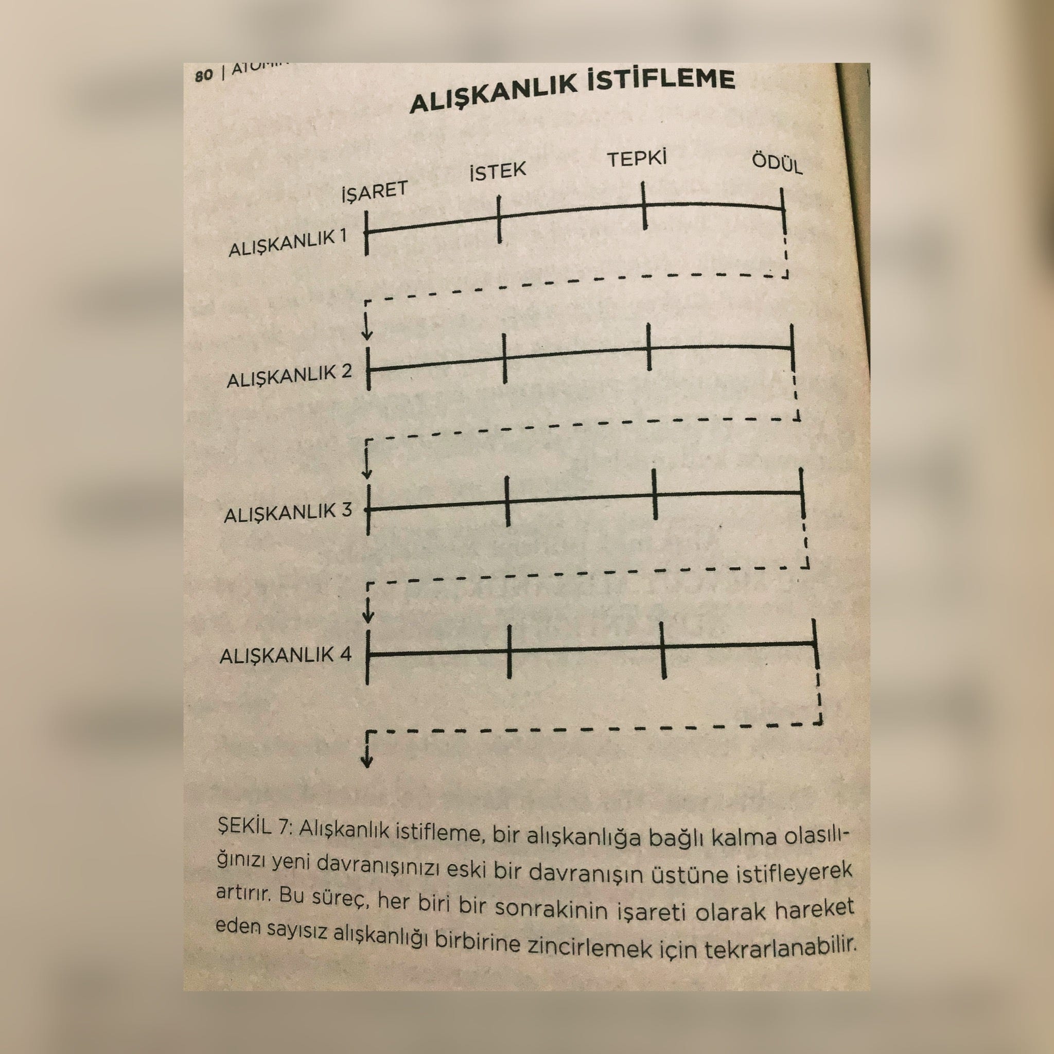 Yataginitopla Instagram Posts Gramho Com