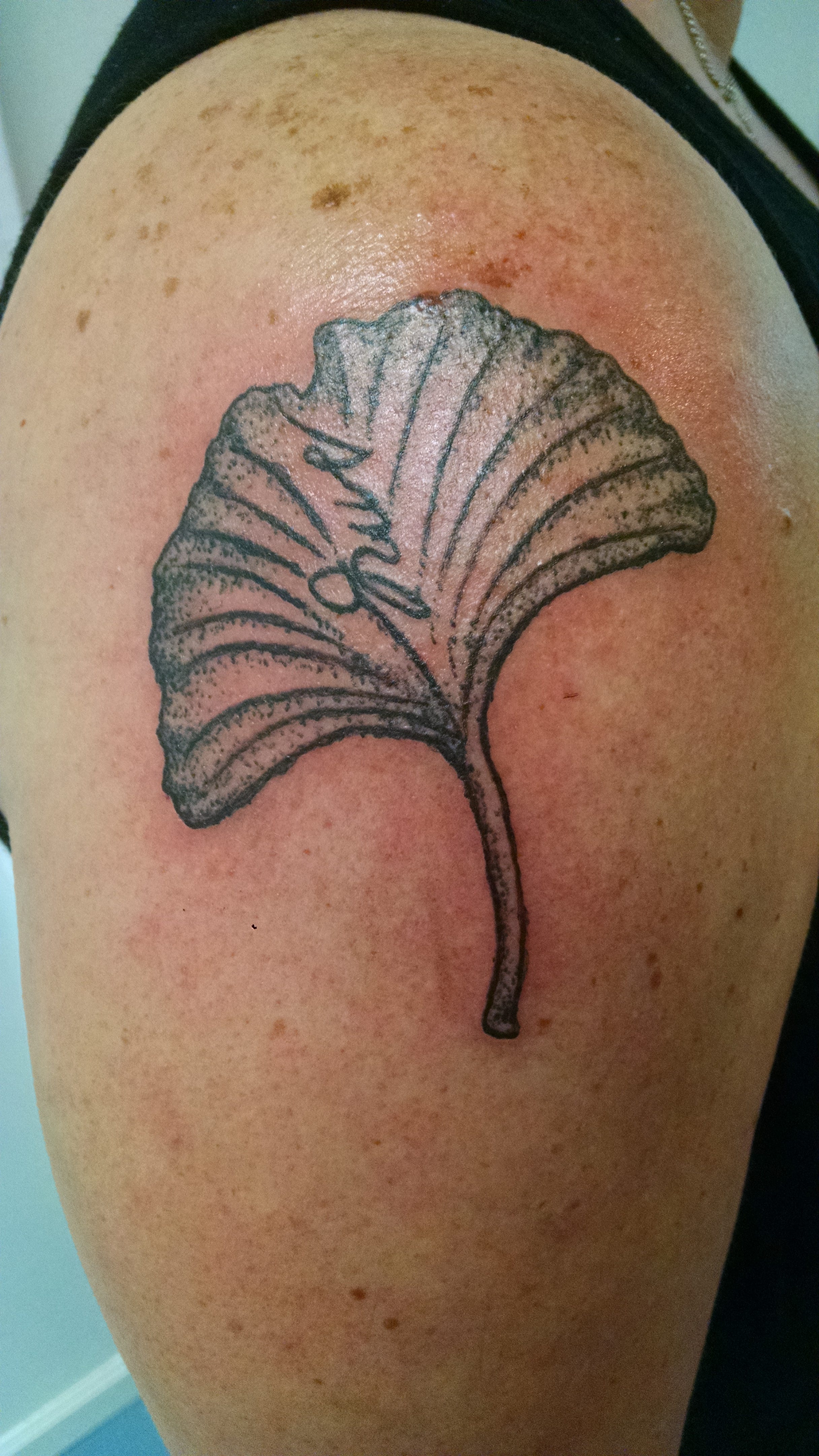 Confessions Of A Tattoo Apprentice: | By Dhbogucki | Table Of Contents | Medium 4320_x_2432_jpg