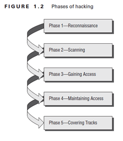 Ini dibagi menjadi tiga fase penyembuhan luka (gambar 2.1) yaitu fase inflamasi,. Pengenalan Ethical Hacking Kebayakan Orang Berfikir Hacker By Tony Hendra Medium