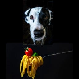 Kopekler Icin En Tehlikeli 10 Yiyecek Yesilist Herkes Icin Yesil