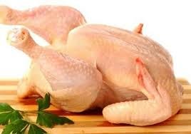 WA +62 823–2773–2765 Treder order ayam Frozeen | by Ilham Faati | Medium