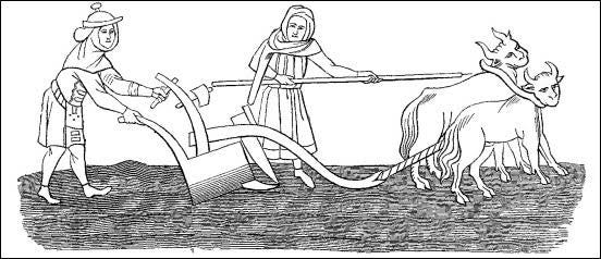 Wallpaper gambar kerbau di sawah. Kumpulan gambar untuk Belajar mewarnai: Mewarnai Gambar ...