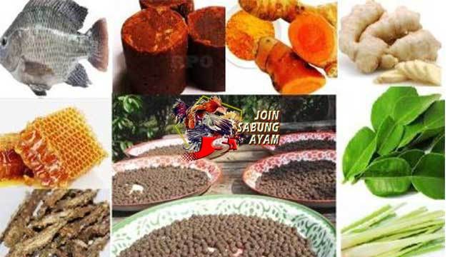 Doping ayam aduan bangkok jamu ayam bangkok aduan tahan pukul . Rahasia Botoh Thailand Pil Herbal Ayam Aduan Yang Berkhasiat By Shella Lie Medium