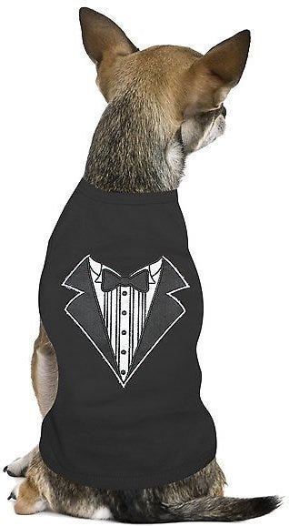 Five Places To Find Wedding Dresses For Your Dog Wow My Pet Did That By Barbara Bullington Medium