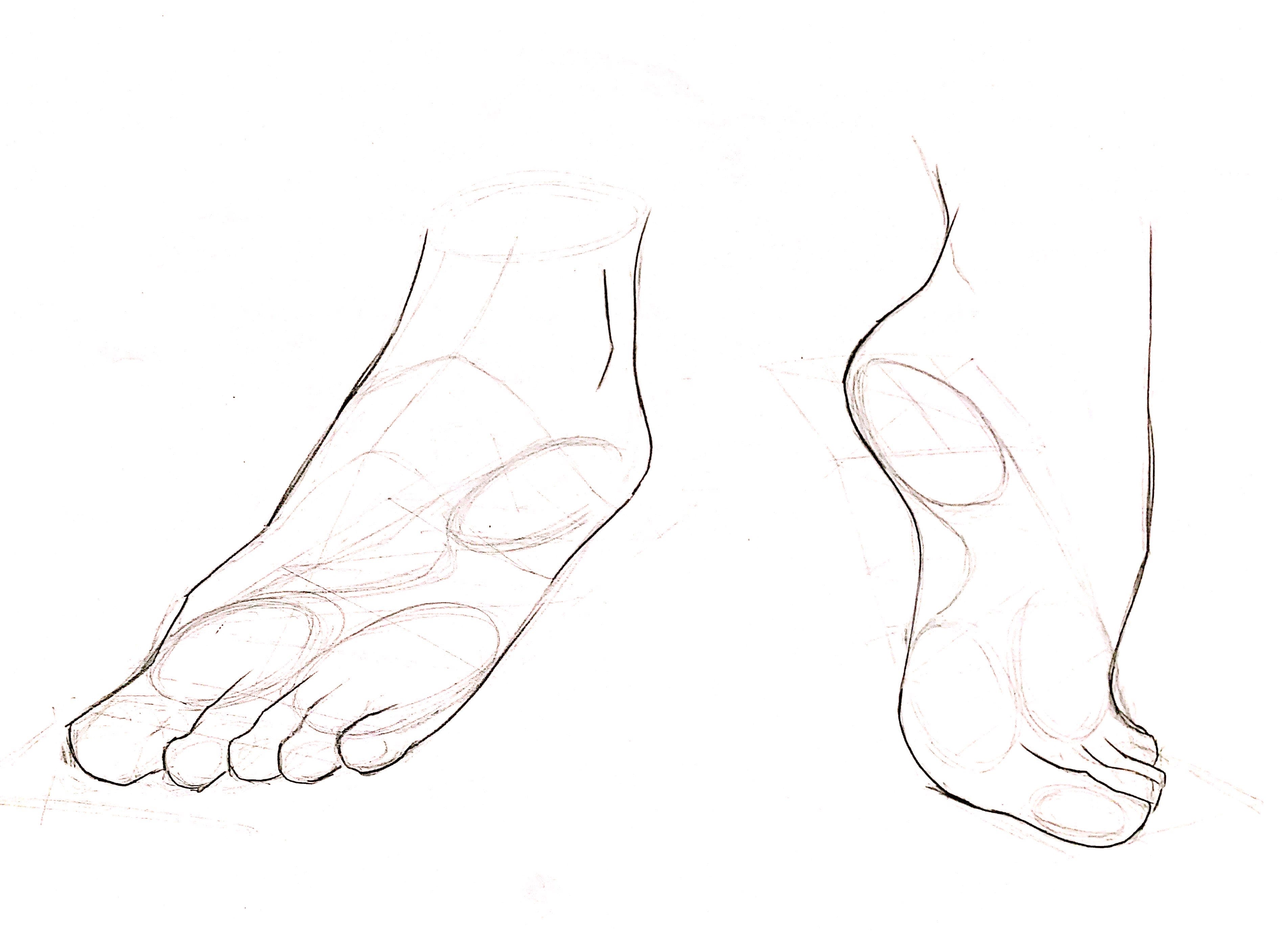 Before starting to draw the shoes you need to make sure they are the correct size for. Collaborative Visualizing Drawing Feet By Ruoming Xin Medium