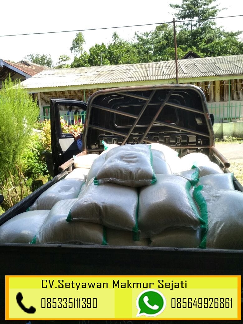 WA 085649926861 distributor beras di jombang, distributor beras di  lamongan, | by beras pulenmurah | Medium