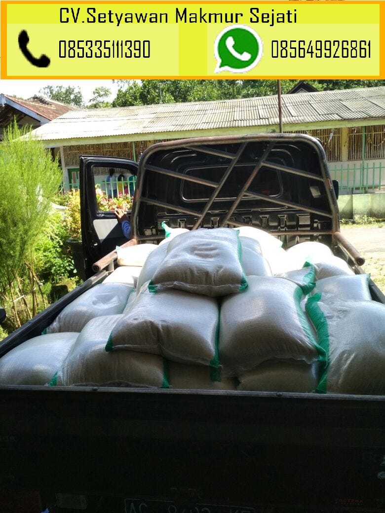 WA 085649926861 distributor beras di surabaya, distributor beras di gresik,  | by beraspulen enak | Medium