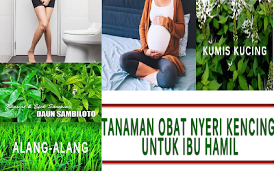 Obat Sakit Kencing Pada Ibu Hamil Di Apotik De Nature De Nature