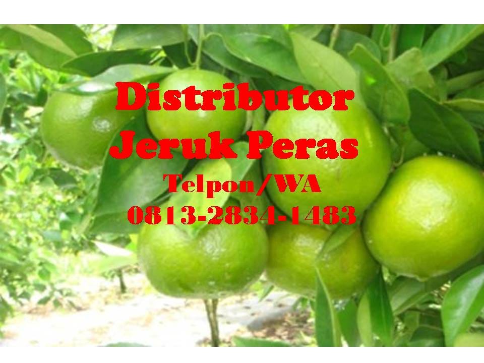 agen jeruk peras bekasi,Tlp. 0812–3845–2900,GRATIS ONGKOS KIRIM…!!! | by  distributor jeruk peras | Medium