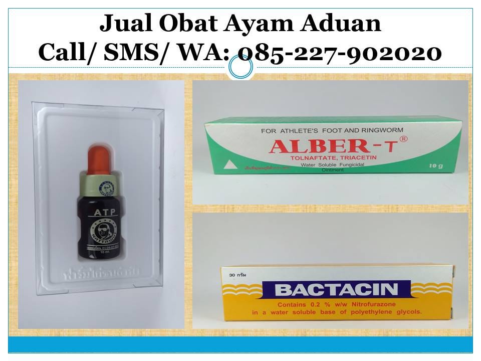 Wa O85 227 9o2o2o Terkini Cara Meracik Jamu Ayam Tarung Padang