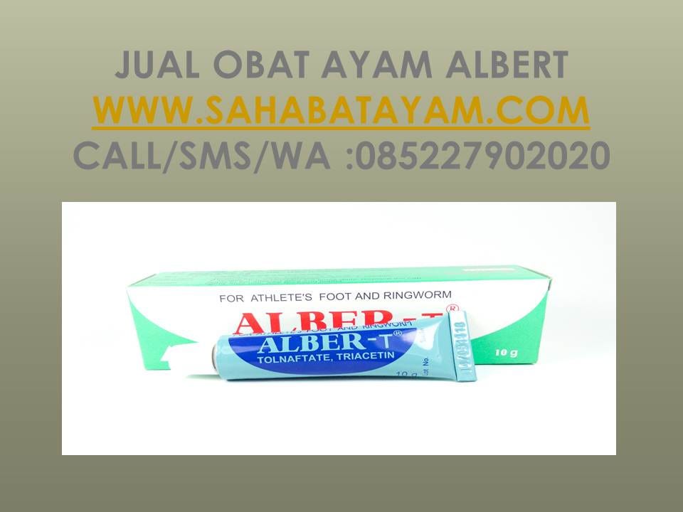 Wa O85 227 9o2o2o Diskon Pertengahan Tahun Tempat Beli Salep Bubul