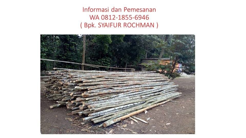 WA +62 812–1855–6946 papan cor kayu randu TANGERANG SELATAN | by galih  tawakal | Medium