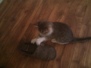 Mamabagisi Instagram Posts Photos And Videos Picuki Com