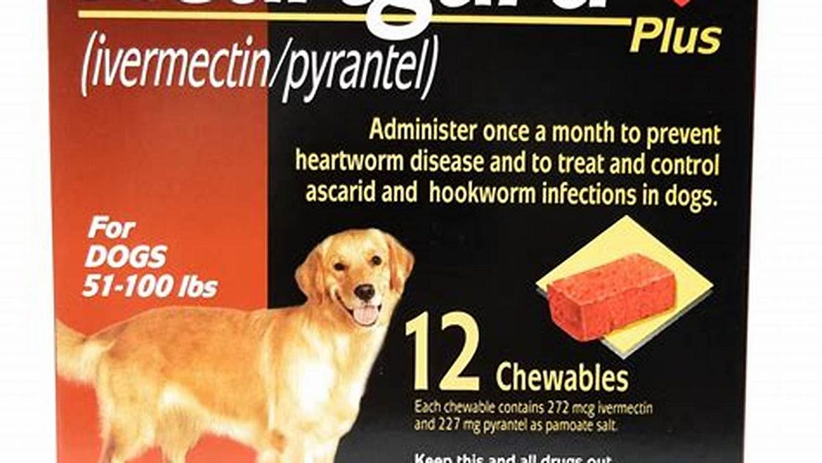 Unveiling the ultimate heartworm defense: discover the best medicine for your canine companion
