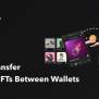 How To Transfer Multiple NFTs Between Wallets On Solana | By Team Shyft ...