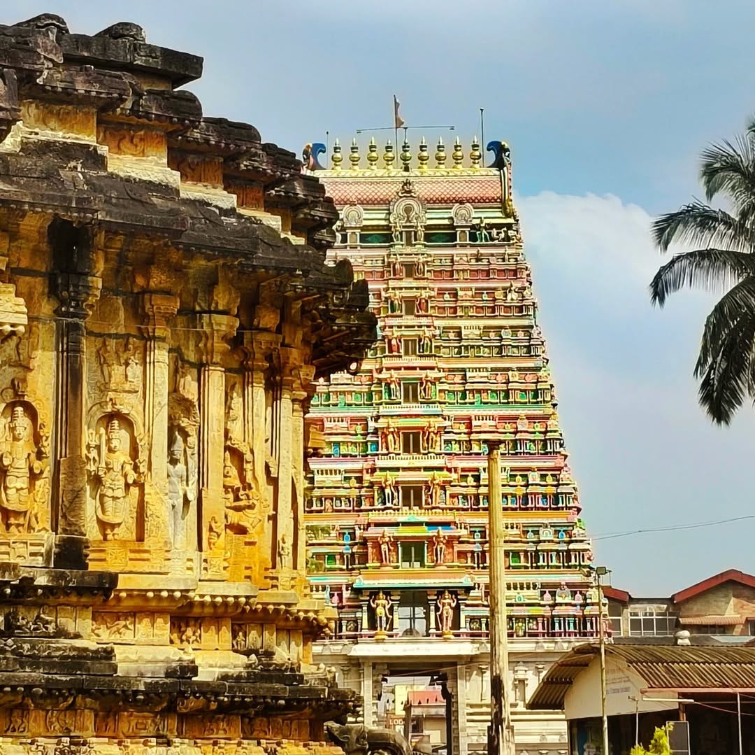 Unveiling The Tranquil Charms Of Castles In India