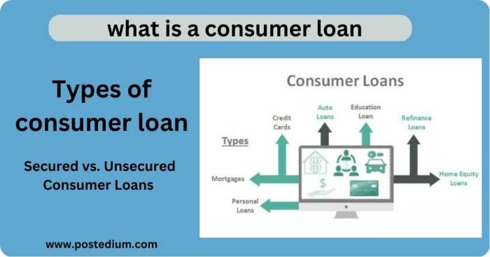 What is a consumer loan