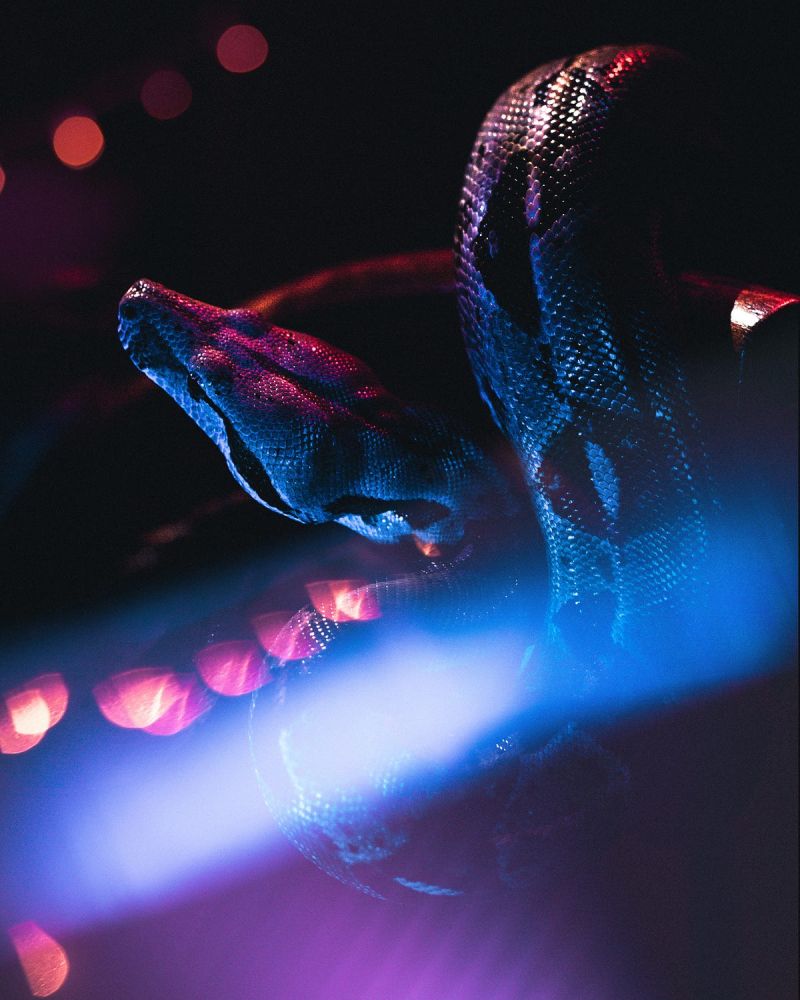 Loops And Statements In Python A Deep Understanding With Examples - Download Creative Landscape Design | 4K