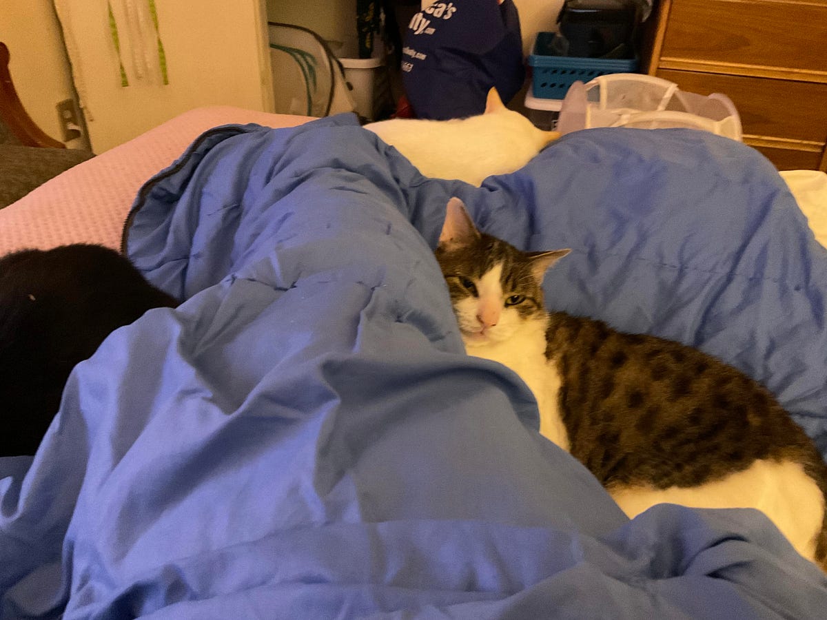 Caregiver chronicles 2. good days and bad days