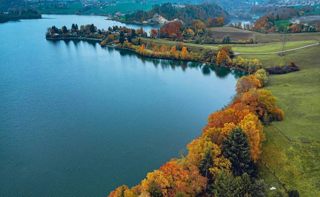 Vue 2 Vs. Vue 3: Exploring The Evolution Of Vue.js | By Emperor Brains ...